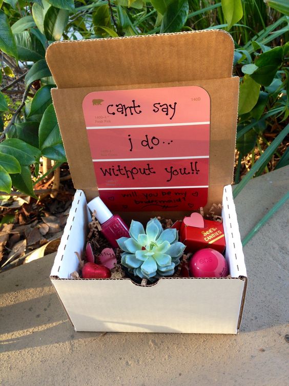  Will You Be My Bridesmaid Box Includes Succulent 
