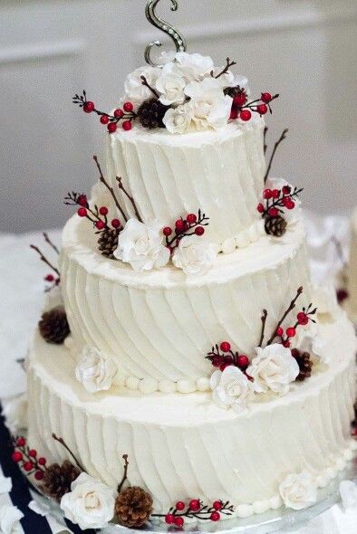 Fabulous Winter Wedding Cakes for Your Wedding