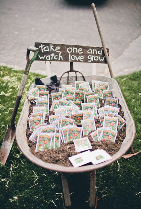 backyard wedding ideas