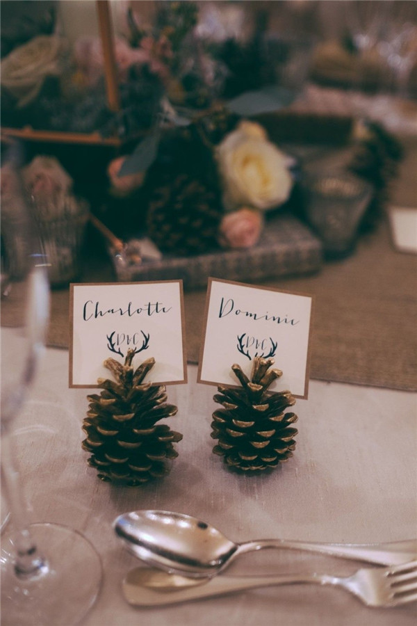 Diy Neon Pine Cone Place Card Holders